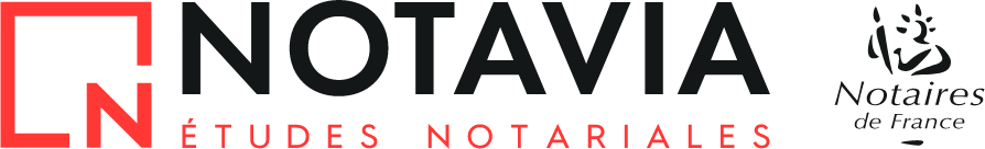 logo notavia